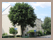 Wohnungsverwaltung Frankfurt Bergen-Enkheim