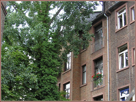 Hausverwalter Frankfurt Bockenheim - Altbau - Modernisierung